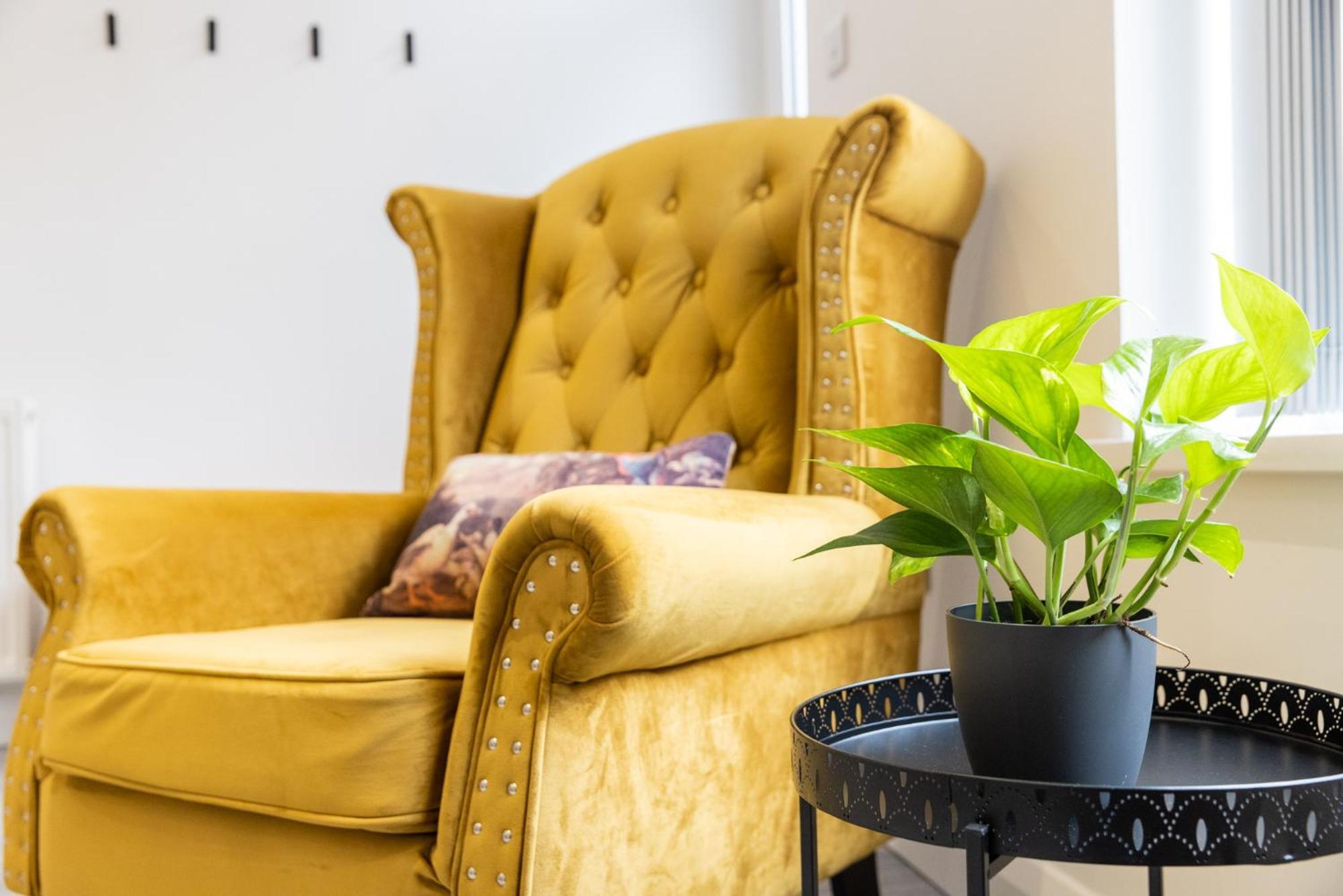 Haven - Stylish, Cosy, Canal Side, Pet Friendly
